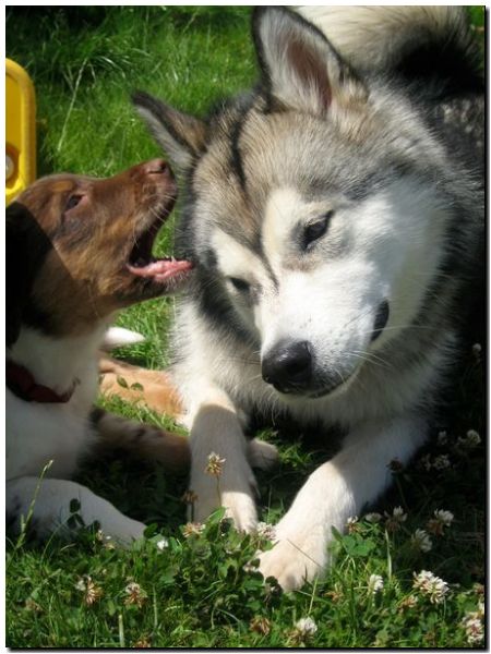 Aleshanee 7-2009 7.jpg